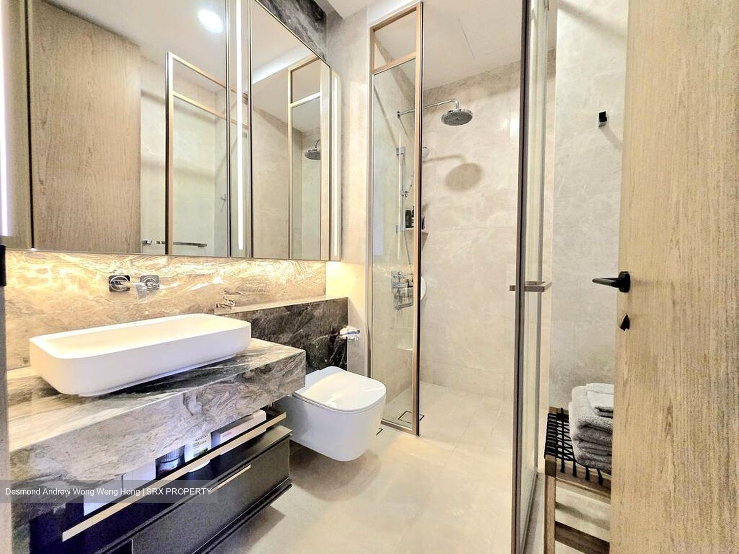 The Avenir (D9), Condominium #535991101